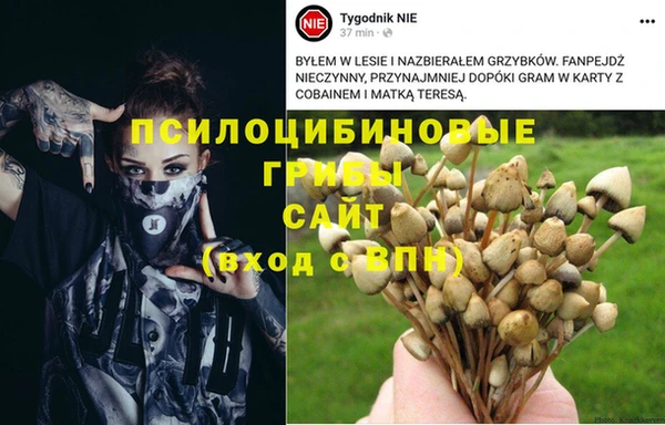соль курить ск Армянск