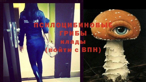 прущий лед Арсеньев