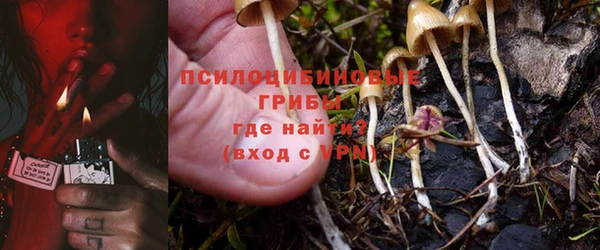 прущий лед Арсеньев