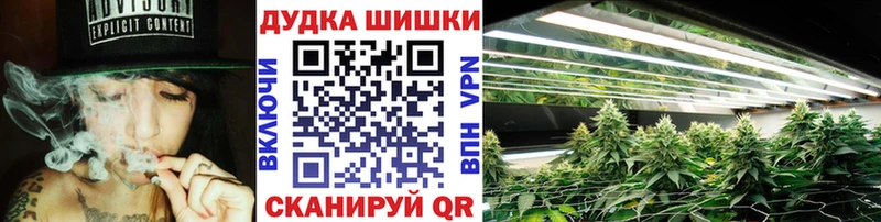 Шишки марихуана семена продажа наркотиков OMG вход Барабинск